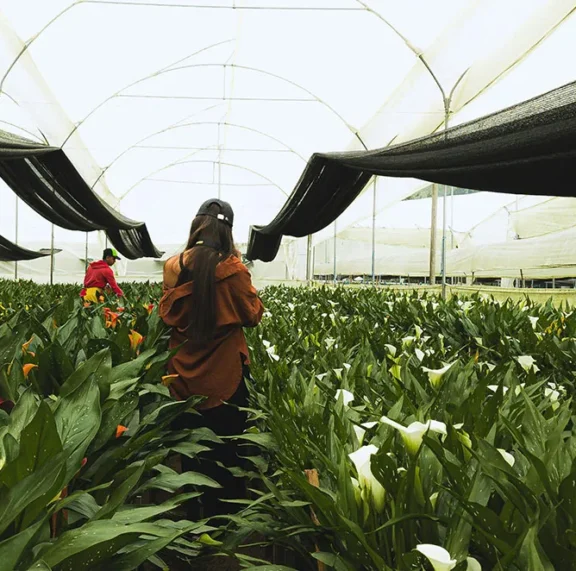 There are many variations of passages of Lorem Ipsum available, but majority have suffered teration in some form, by injected humour, or randomised words which don't look even slight believable. If you are going to use a passage of Lorem Ipsum.