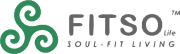 fitso logo